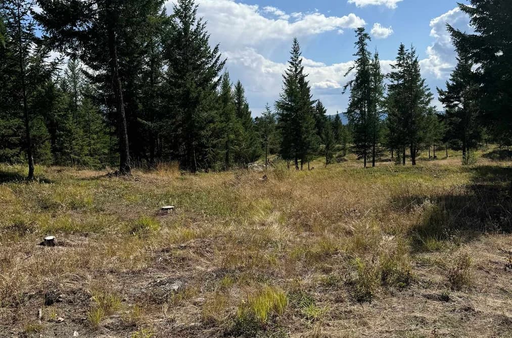 891 RAVEN HILL ROAD, No City Value, BC — Land for Sale - Main Photo