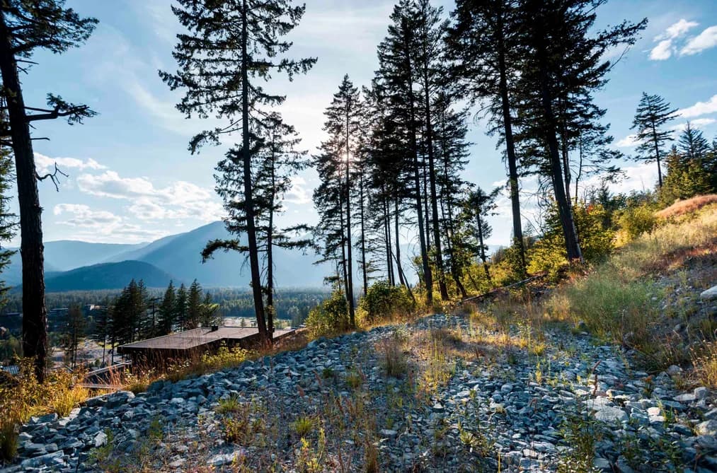 9000 SUN GOD MOUNTAIN WAY, Pemberton, BC — Land for Sale - Photo 2