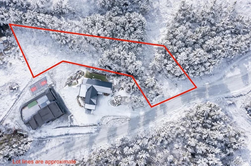 9220 WEDGEMOUNT PLATEAU DRIVE, Whistler, BC — Land for Sale - Photo 2