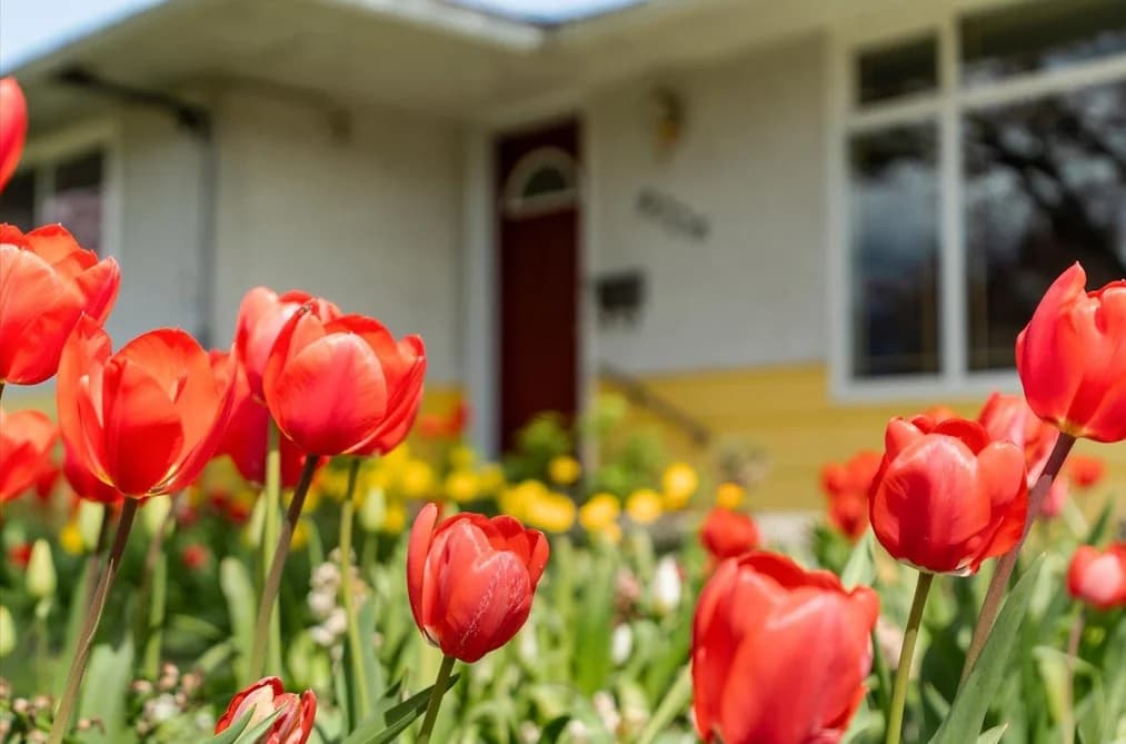 9726 JUNIPER STREET, Chilliwack, BC — Residential for Sale - Photo 2