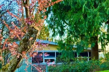 House for sale at 990 Balsam Street White Rock British Columbia - MLS: R3127513