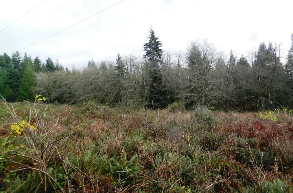 Block 1 HAUKA ROAD, Langdale, BC — Land for Sale - Photo 2