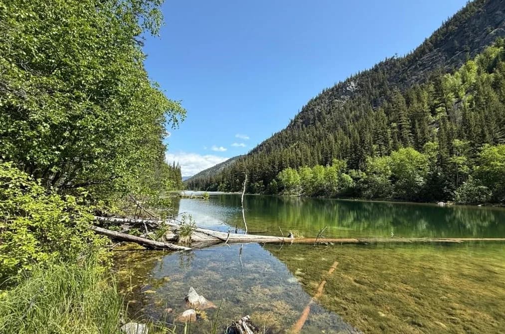 DL 2401 SUCKER LAKE ROAD, Birken, BC — Land for Sale - Main Photo