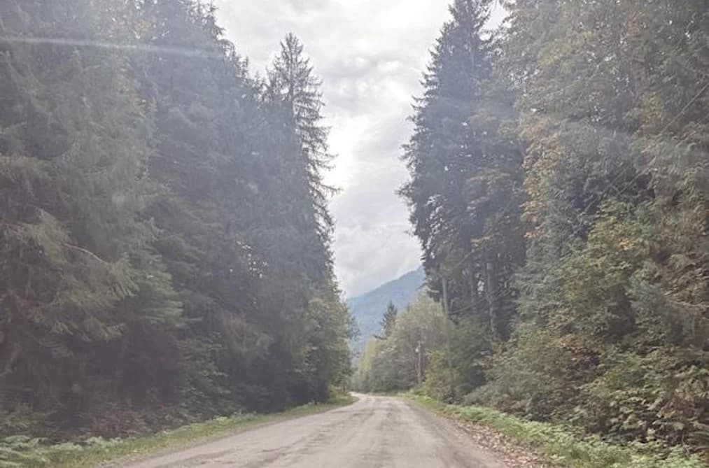 DL990 NW MAGEE ROAD, Squamish, BC — Land for Sale - Photo 2