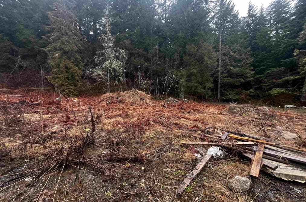 LMV 7 OLD HOPE PRINCETON HIGHWAY, Hope, BC — Land for Sale - Photo 2