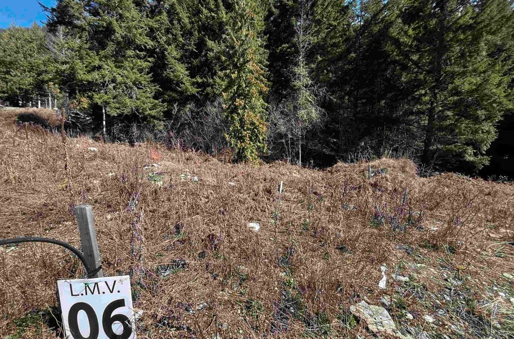 LMV6 OLD HOPE PRINCETON HIGHWAY, Sunshine Valley, BC — Land for Sale - Photo 2