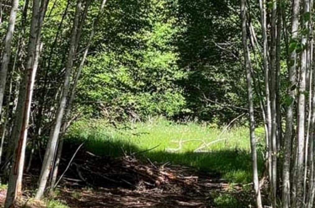 LOT 06 CUDMORE ROAD, Salt Spring Island, BC — Land for Sale - Photo 2