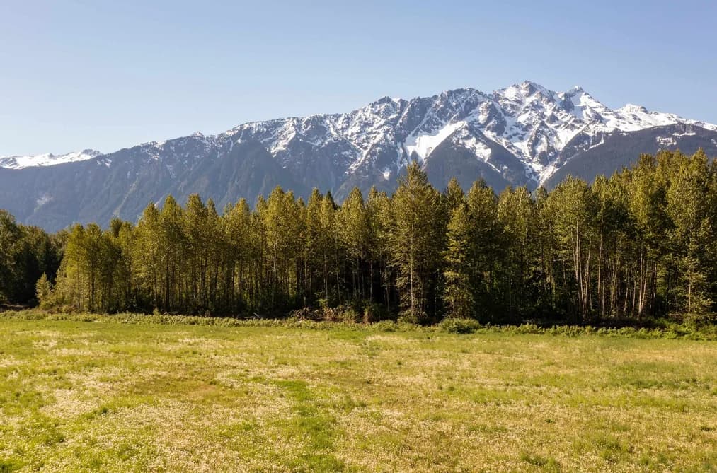 LOT 1 PEMBERTON FARM ROAD, Pemberton, BC — Land for Sale - Main Photo