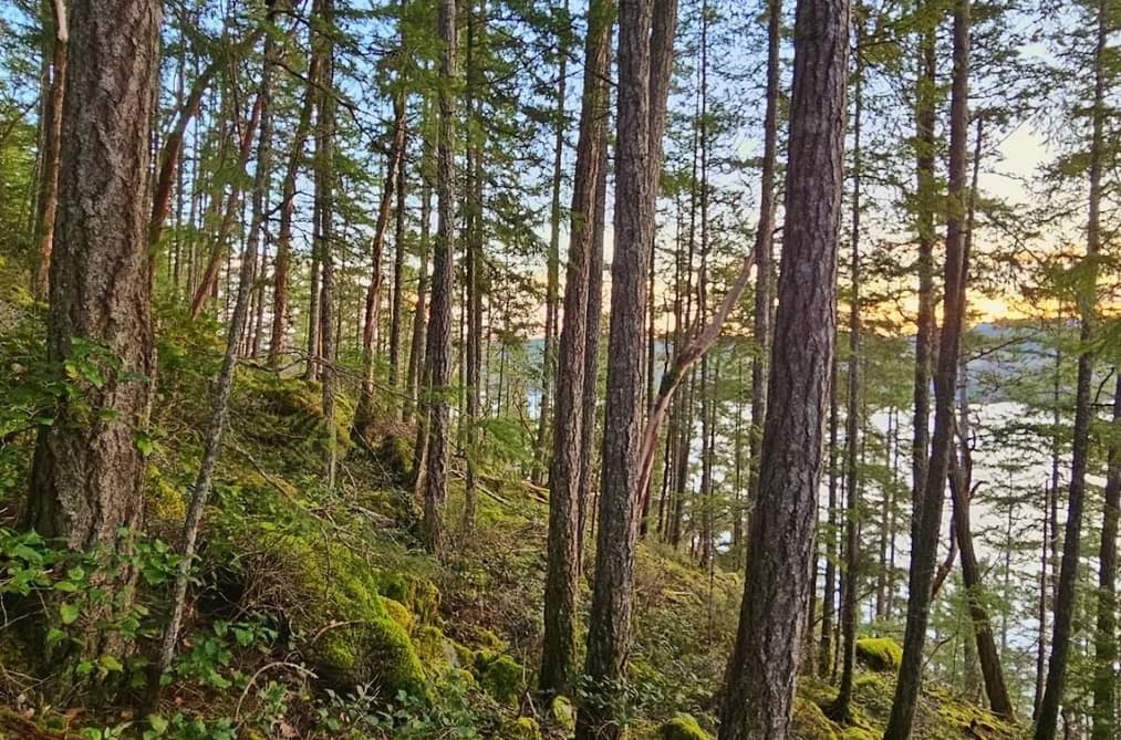 Lot 108 SEAVIEW ROAD, Sechelt, BC — Land for Sale - Main Photo