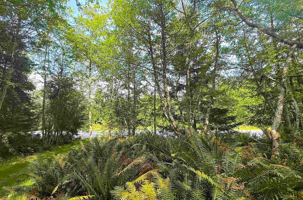 Lot 11 BODEGA BEACH DRIVE, Galiano Island, BC — Land for Sale - Main Photo