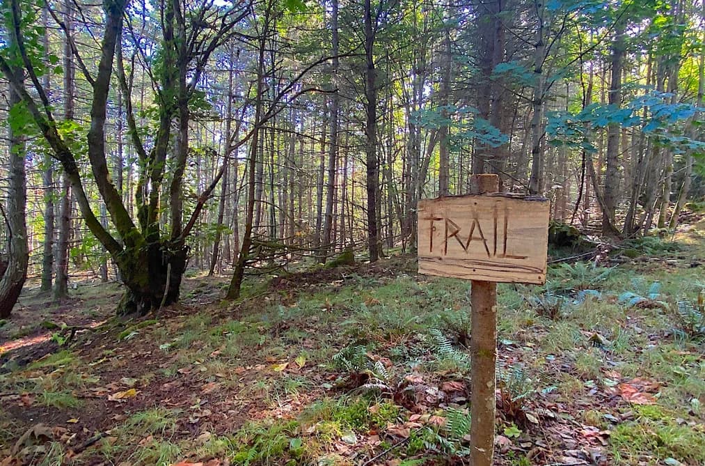 lot 17 BODEGA BEACH DRIVE, Galiano Island, BC — Land for Sale - Photo 2