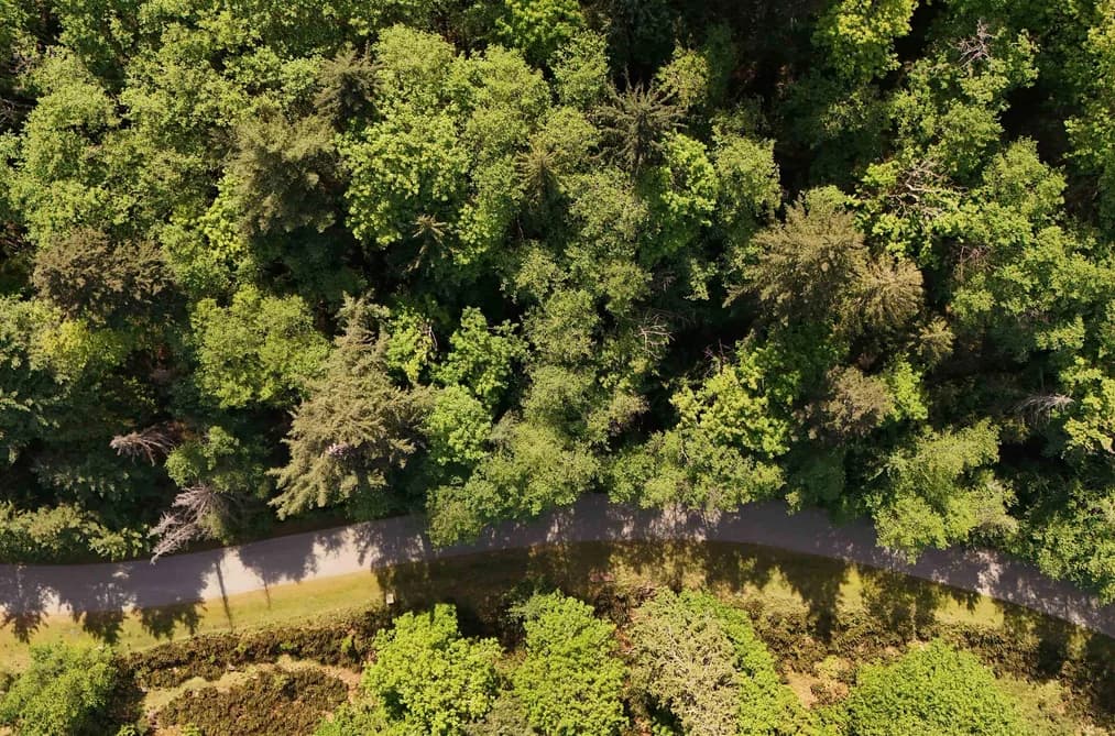 LOT 19 SMUGGLERS COVE ROAD, Bowen Island, BC — Land for Sale - Photo 2