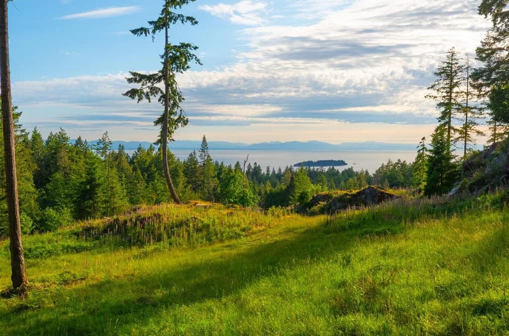 Lot 2 INNISFREE LANE, Bowen Island, BC — Land for Sale - Main Photo