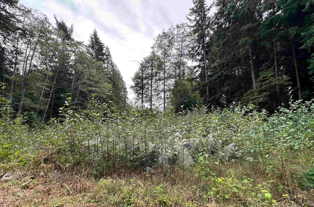 1815 LOWER ROAD, Roberts Creek, BC — Land for Sale - Photo 2