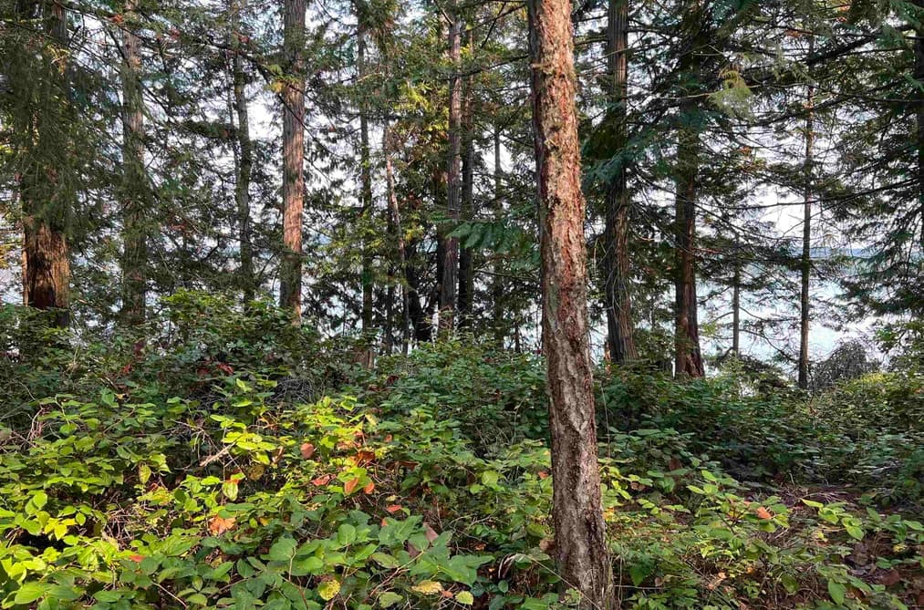 LOT 2 NORTH END ROAD, Salt Spring Island, BC — Land for Sale - Main Photo