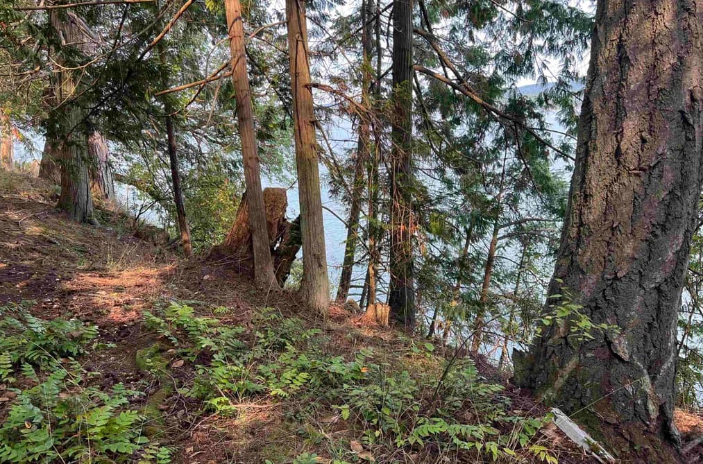 LOT 2 NORTH END ROAD, Salt Spring Island, BC — Land for Sale - Photo 2