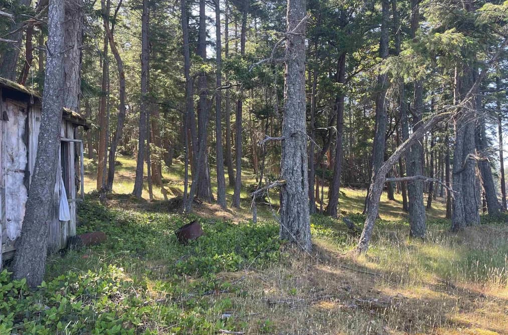 LOT 2 VALDES ISLAND, No City Value, BC — Residential for Sale - Photo 2