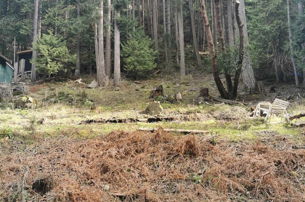 LOT 25 WOOD DALE DRIVE, Mayne Island, BC — Land for Sale - Main Photo