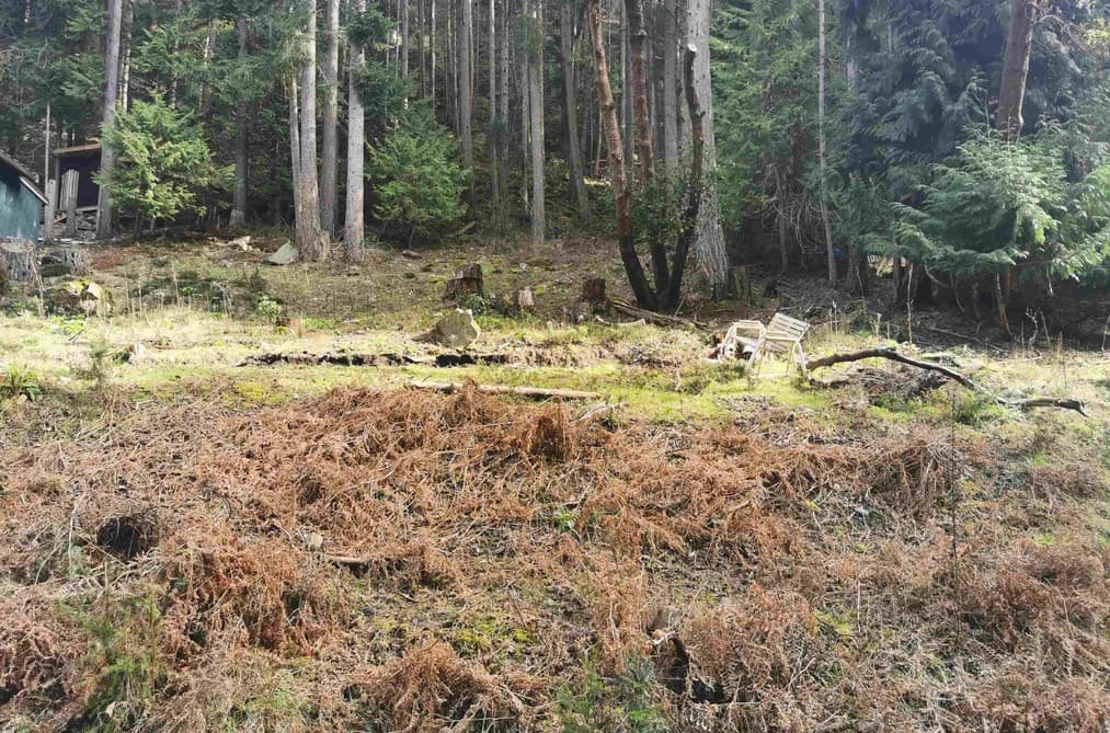 LOT 25 WOOD DALE DRIVE, Mayne Island, BC — Land for Sale - Photo 2