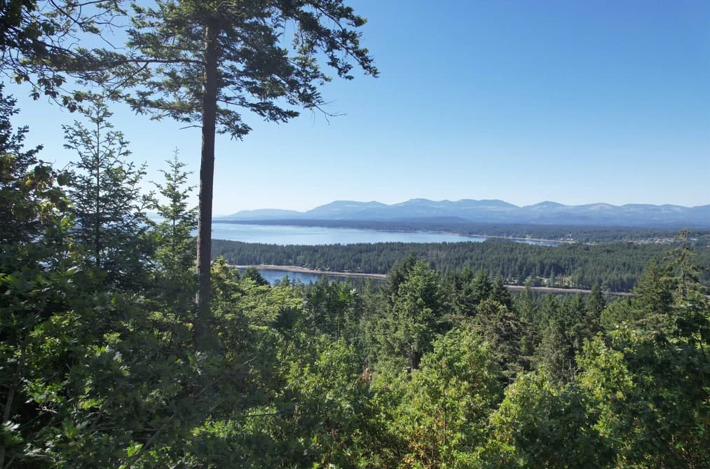 LOT 3 SEYMOUR ROAD, No City Value, BC — Land for Sale - Main Photo