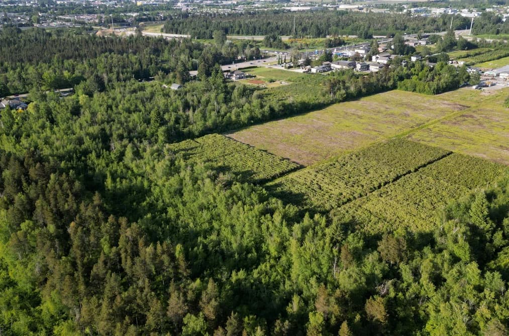 LOT 31 WESTMINSTER HIGHWAY, Richmond, BC — Land for Sale - Photo 2