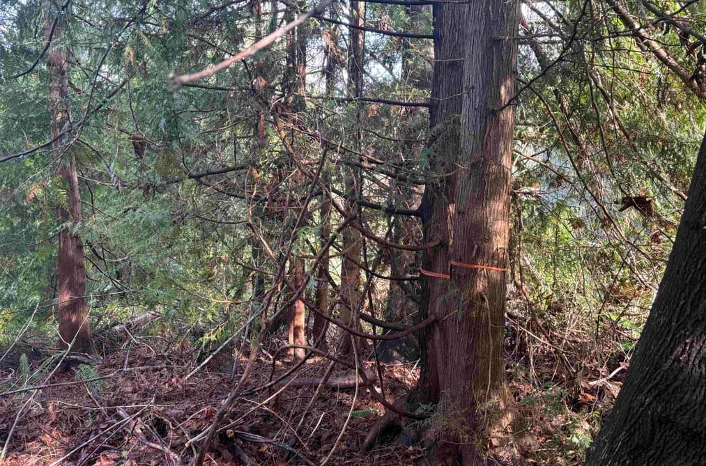 LOT 39 SANDY HOOK ROAD, Sechelt, BC — Land for Sale - Photo 2