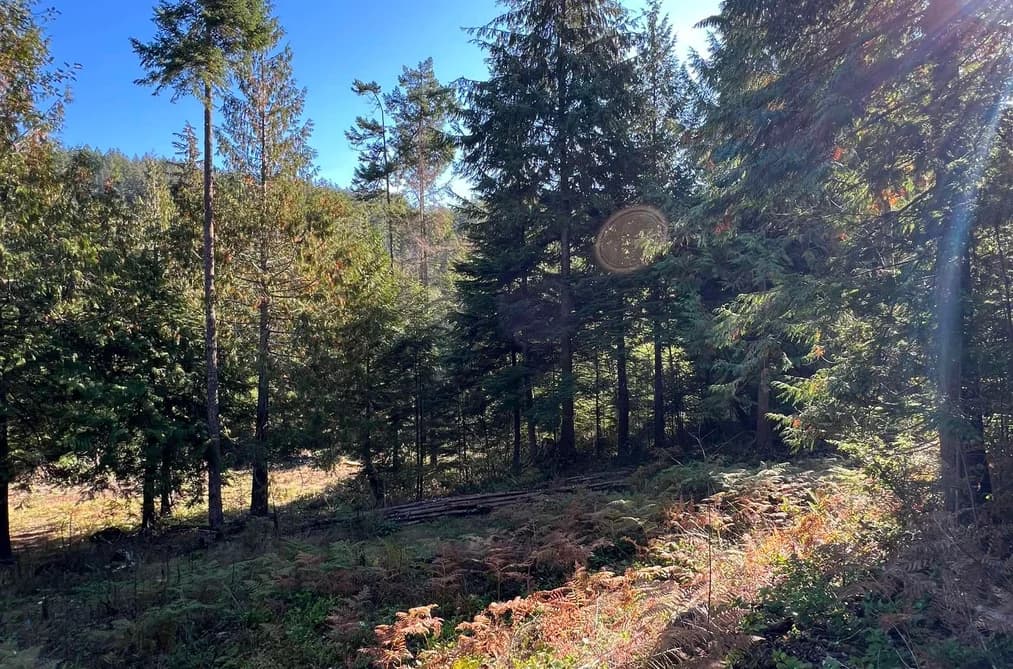 13623 LEE ROAD, Garden Bay, BC — Land for Sale - Main Photo