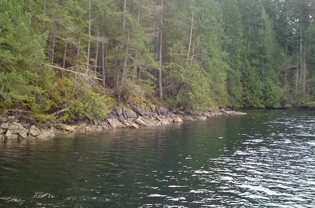LOT 4 HIDDEN BASIN, Nelson Island, BC — Land for Sale - Photo 2