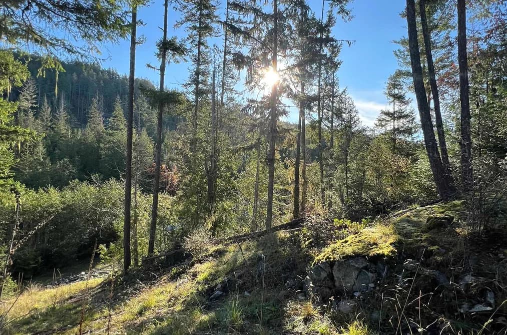 13830 SAKINAW DRIVE, Garden Bay, BC — Land for Sale - Main Photo
