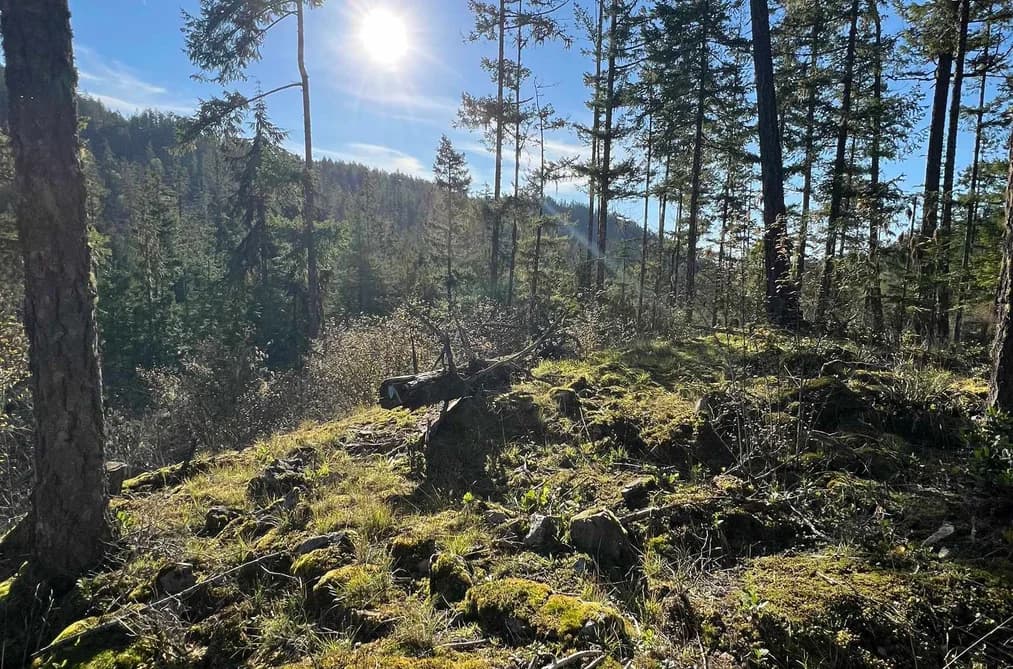 13808 SAKINAW DRIVE, Garden Bay, BC — Land for Sale - Main Photo