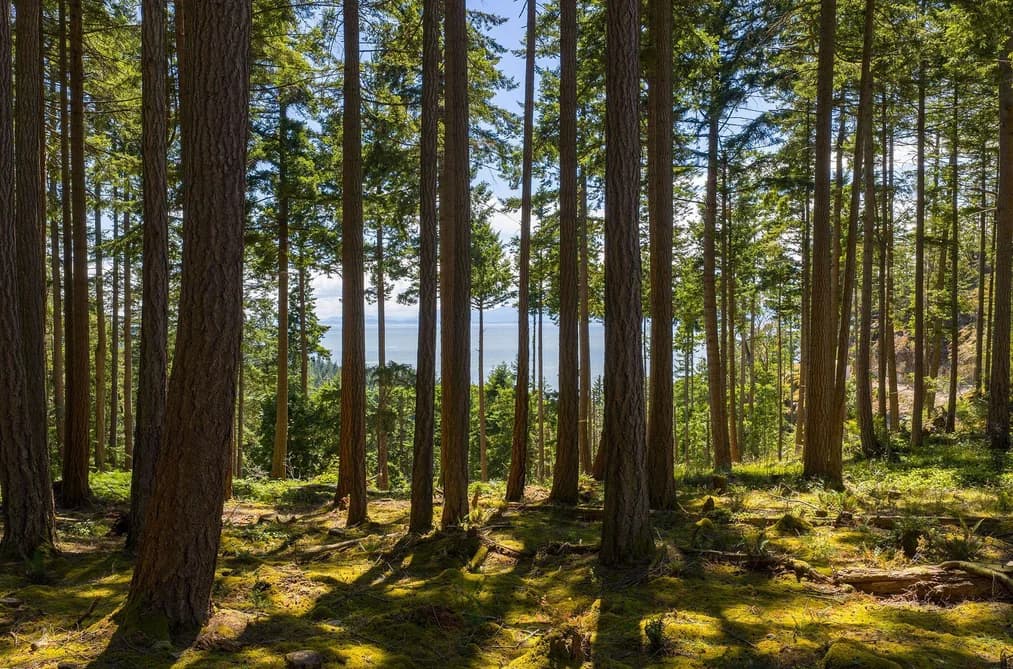 Lot 8 HAYES ROAD, Bowen Island, BC — Land for Sale - Photo 2