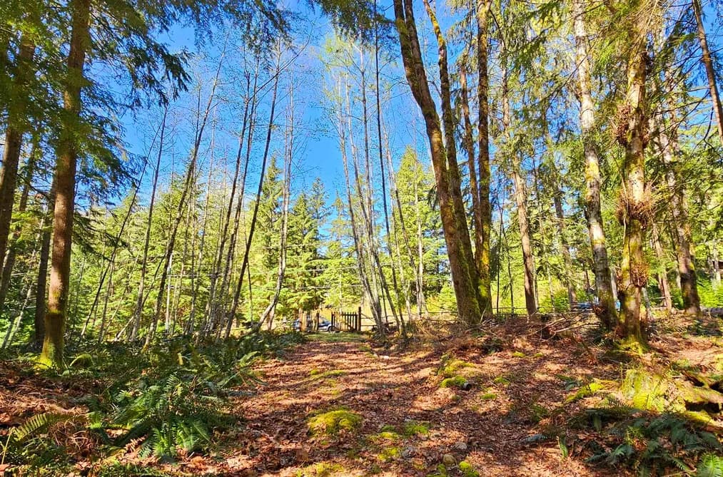 Lot 8 MOUNTAIN ROAD, Gambier Island, BC — Land for Sale - Photo 2