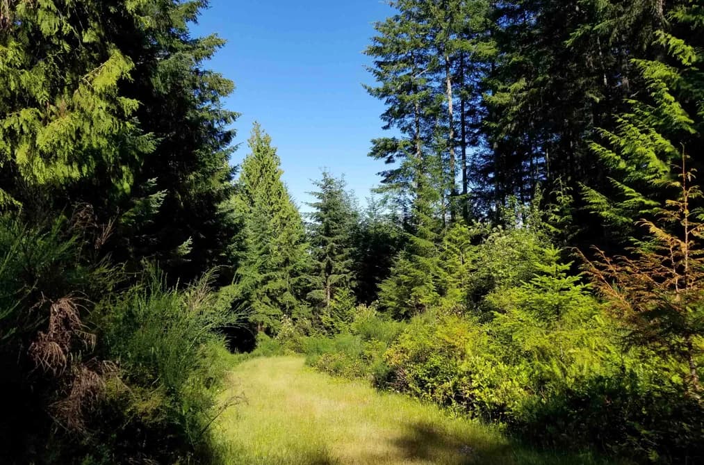 LOT A LORD ROAD, Galiano Island, BC — Land for Sale - Main Photo