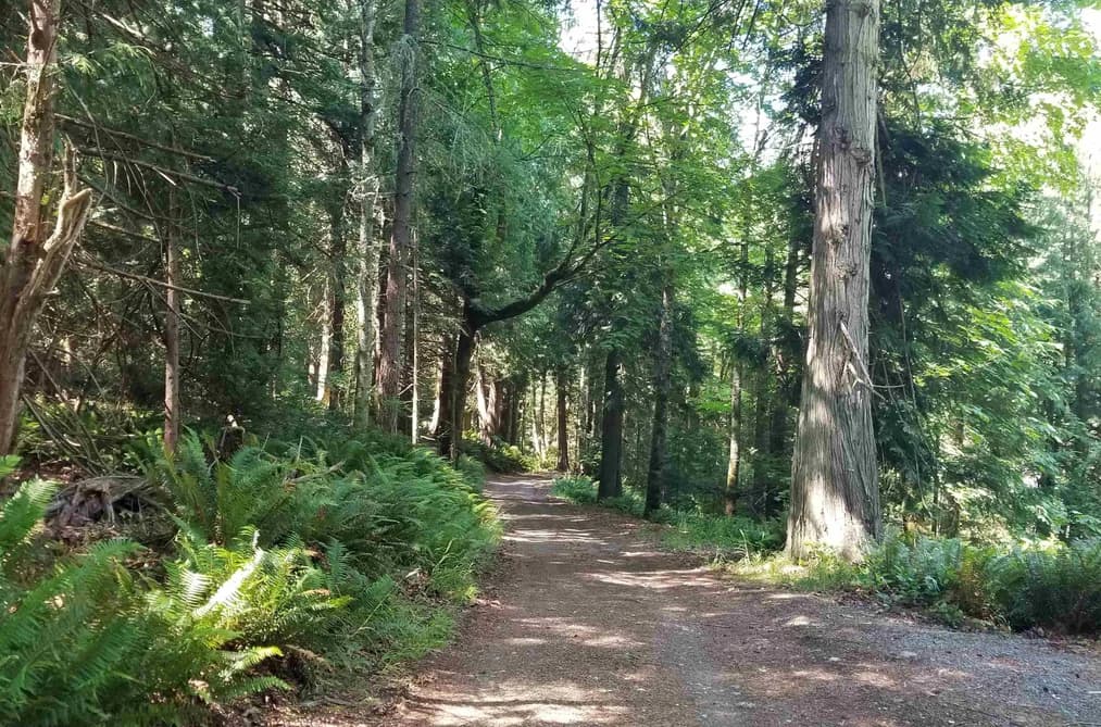 LOT A LORD ROAD, Galiano Island, BC — Land for Sale - Photo 2