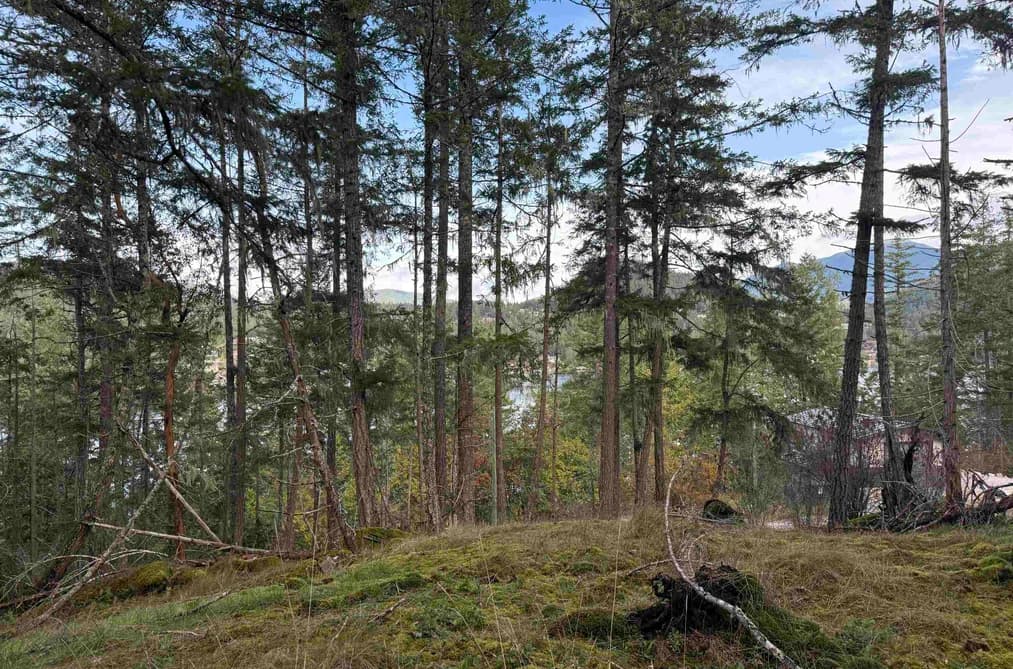 LOT B FRANCIS PENINSULA ROAD, Madeira Park, BC — Land for Sale - Main Photo