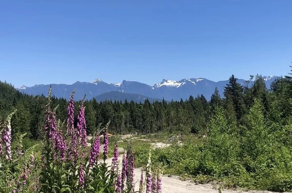 Lot D ELPHINSTONE CROSSING, Gibsons, BC — Land for Sale - Main Photo