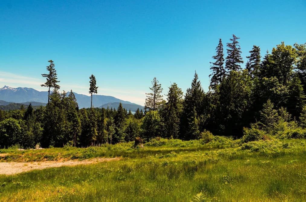 LOT F PANORAMA PARKWAY, Gibsons, BC — Land for Sale - Photo 2