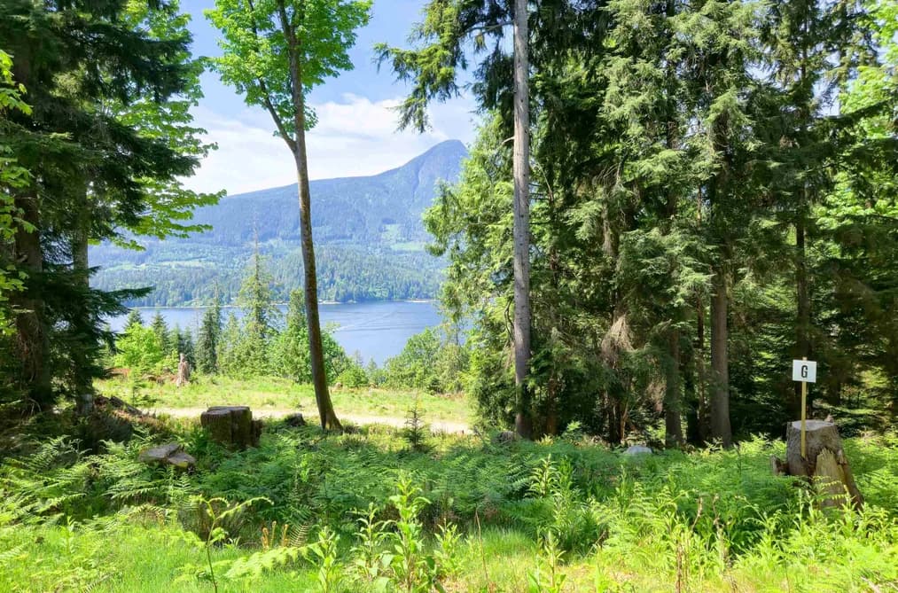 LOT G COTTON BAY ROAD, Gambier Island, BC — Land for Sale - Main Photo