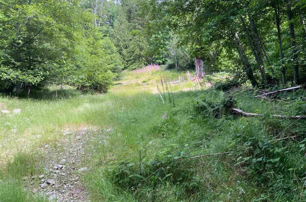 LOT H COTTON BAY ROAD, Gambier Island, BC — Land for Sale - Photo 2