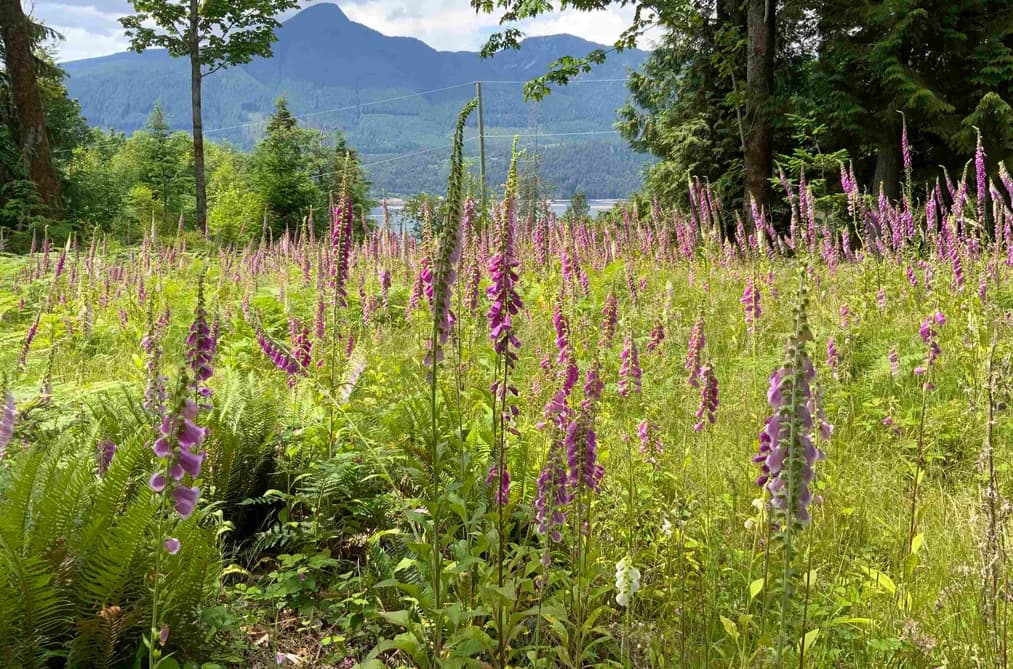 LOT I COTTON BAY ROAD, Gambier Island, BC — Land for Sale - Main Photo