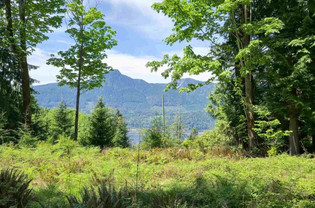 LOT I COTTON BAY ROAD, Gambier Island, BC — Land for Sale - Photo 2