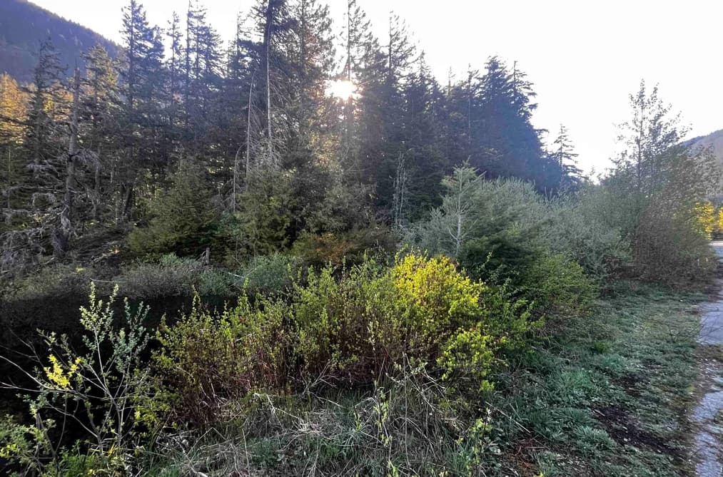 RLL1 STRAWBERRY LANE, Sunshine Valley, BC — Land for Sale - Main Photo