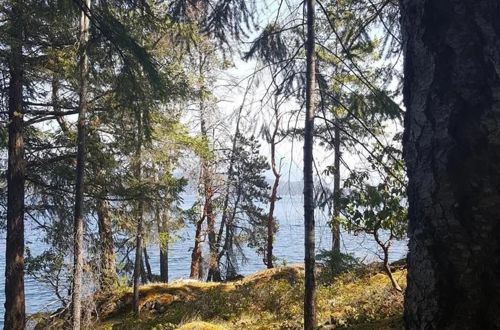 SITE 6 1846 TIBER BAY ROAD, No City Value, BC — Land for Sale - Photo 2