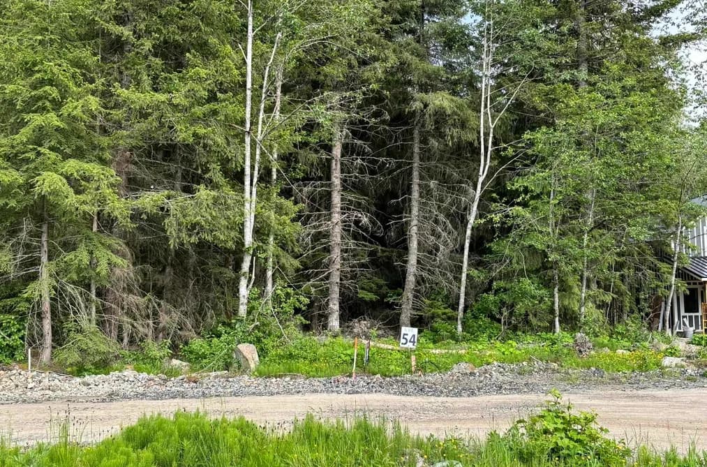 SVE54 OLD HOPE PRINCETON HIGHWAY, Hope, BC — Land for Sale - Main Photo