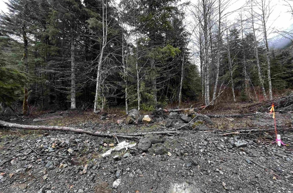 SVE54 OLD HOPE PRINCETON HIGHWAY, Hope, BC — Land for Sale - Photo 2
